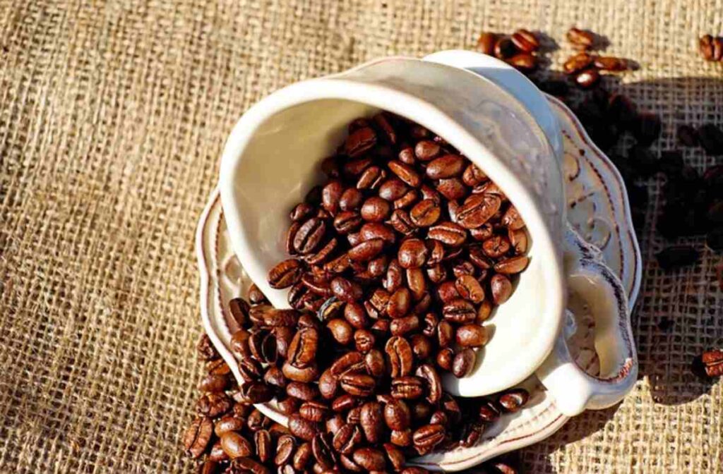 specialty coffee