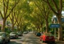tree service Martinez