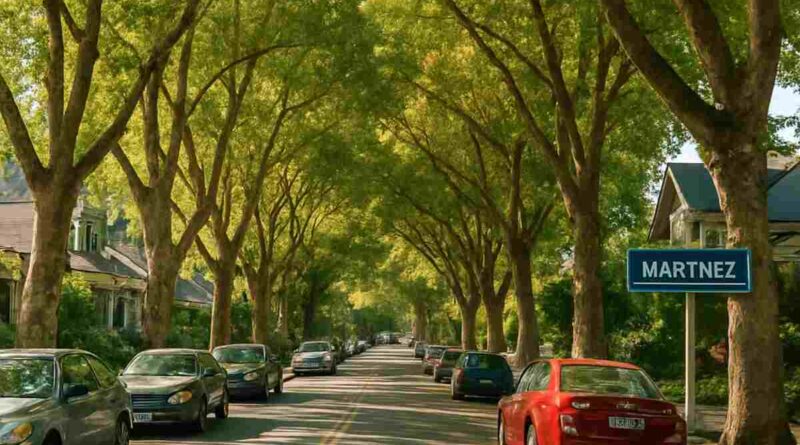 tree service Martinez